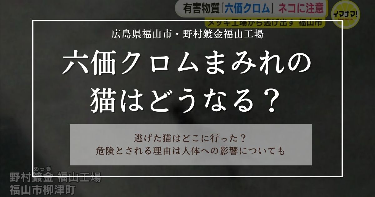 六価クロムまみれの猫はどうなる？どこに逃げたのかについても調査！(広島県福山市) ToBe Life｜イベントやグルメ、ファッションなどの
